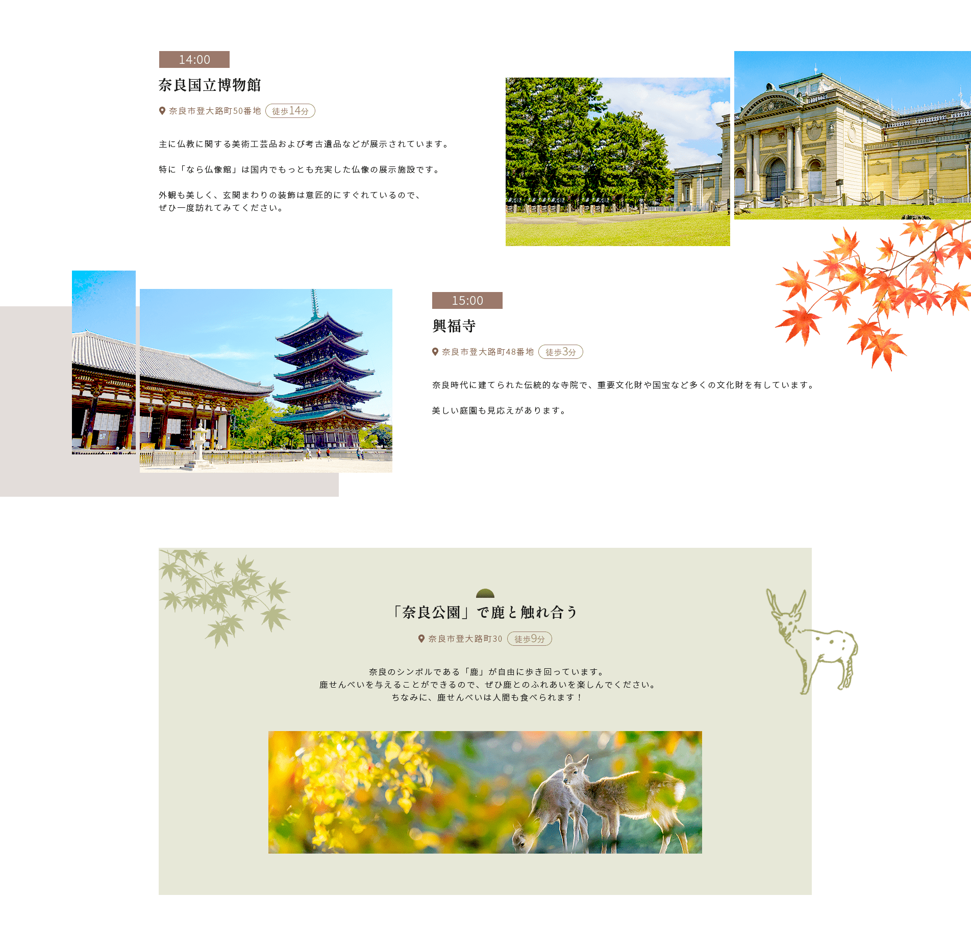 14:00奈良国立博物館●奈良市登大路町50番地 徒歩14分主に仏教に関する美術工芸品および考古遺品などが展示されています。特に「なら仏像館」 は国内でもっとも充実した仏像の展示施設です。外観も美しく、 玄関まわりの装飾は意匠的にすぐれているので、 ぜひ一度訪れてみてください。15:00興福寺●奈良市登大路町48番地徒歩3分奈良時代に建てられた伝統的な寺院で、 重要文化財や国宝など多くの文化財を有しています。美しい庭園も見応えがあります。「奈良公園」で鹿と触れ合う● 奈良市登大路町30 徒歩9分奈良のシンボルである 「鹿」 が自由に歩き回っています。 鹿せんべいを与えることができるので、ぜひ鹿とのふれあいを楽しんでください。 ちなみに、 鹿せんべいは人間も食べられます!